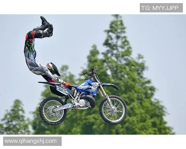 上海极限运动队技术表现分析与数据解读探讨