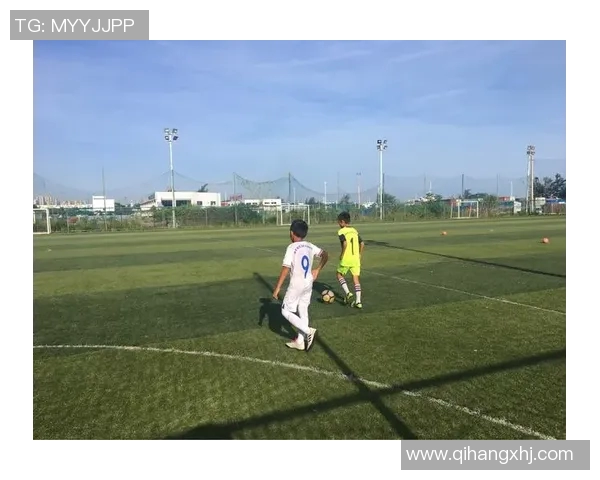 吴芳深度解析足球技巧与战术分享，助你提升球场表现与理解力