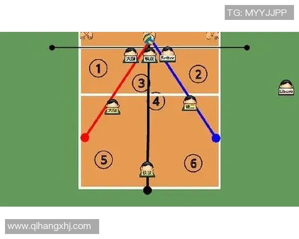 广州排球队反击体系解析与战术运用探讨