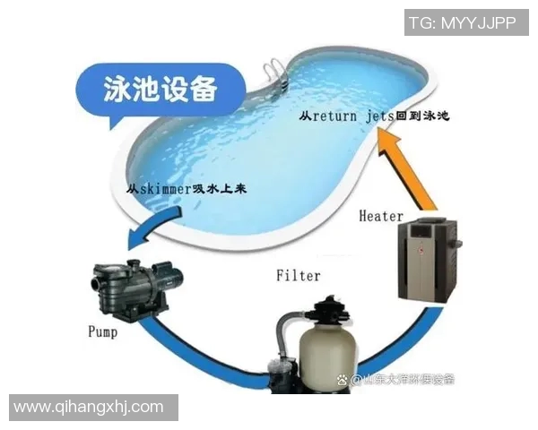 高效泳池清洁方法全攻略 让你的泳池始终清澈透明